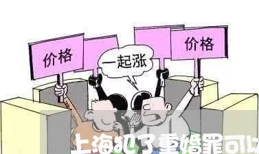 上海犯了重婚罪可以拿回来吗/2023032435371