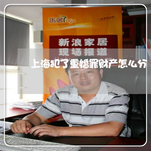 上海犯了重婚罪财产怎么分/2023032247462 上海犯了重婚罪财产怎么分/2023032247462