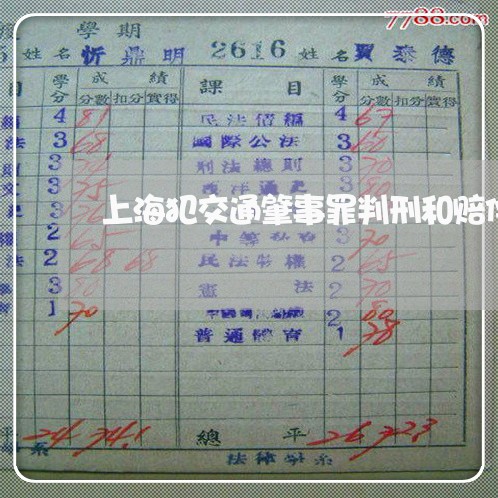 上海犯交通肇事罪判刑和赔偿/2023032459570