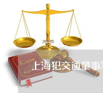 上海犯交通肇事罪自己也重伤/2023032462834