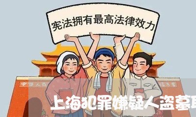 上海犯罪嫌疑人盗墓取保候审/2023032441604
