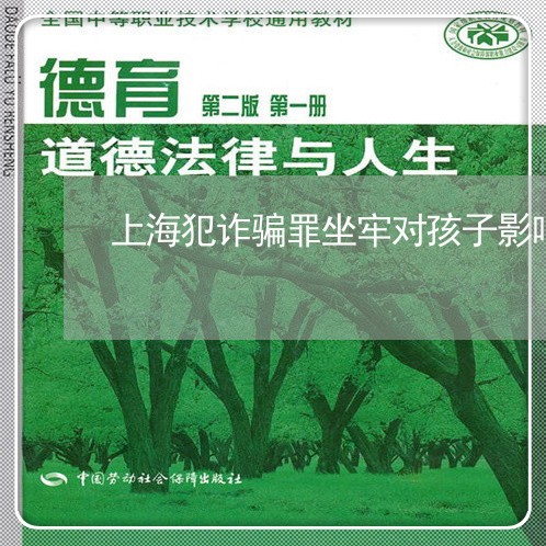 上海犯诈骗罪坐牢对孩子影响/2023032493704