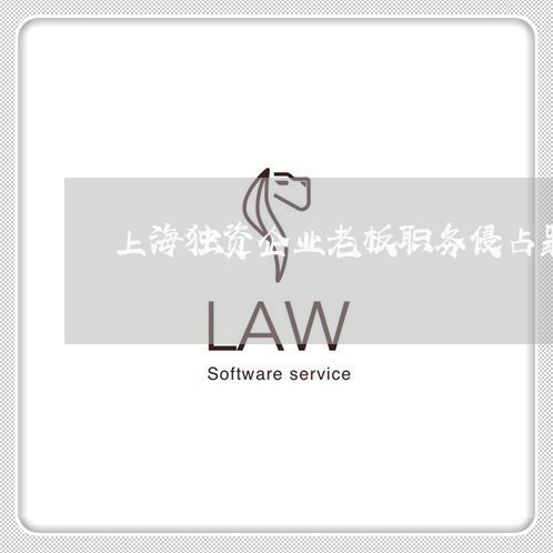 上海独资企业老板职务侵占罪/2023032538160