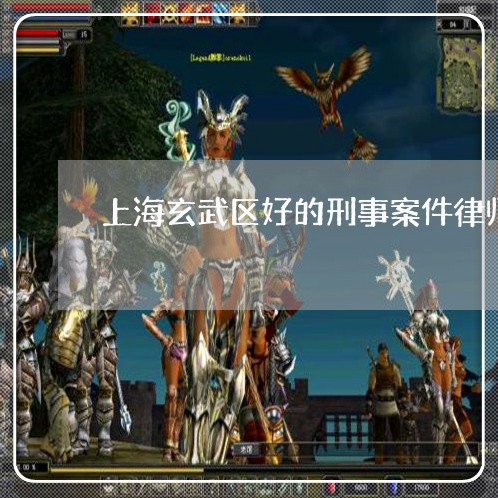 上海玄武区好的刑事案件律师/2023032517040