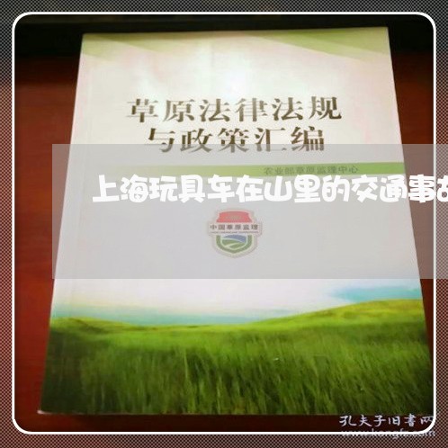 上海玩具车在山里的交通事故/2023032450513 上海玩具车在山里的交通事故/2023032450513