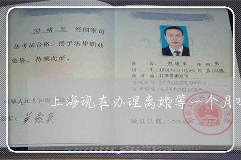 上海现在办理离婚等一个月吗/2023032481494 上海现在办理离婚等一个月吗/2023032481494