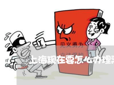 上海现在要怎么办理离婚手续/2023032567392