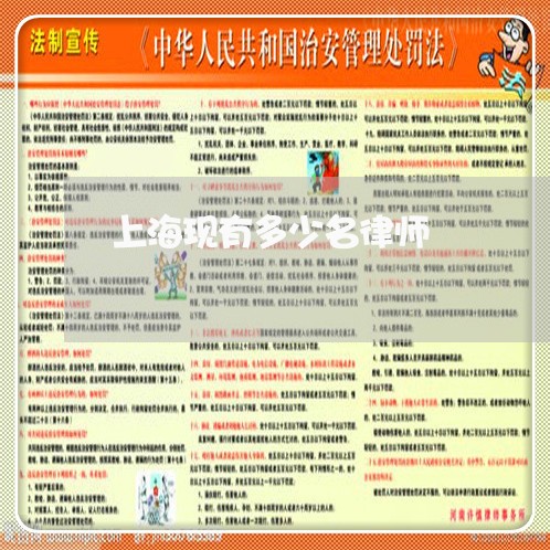 上海现有多少名律师/2023032649360