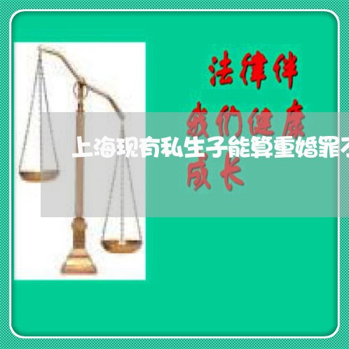 上海现有私生子能算重婚罪不/2023032528140