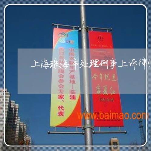 上海珠海市处理刑事上诉律师/2023032447279