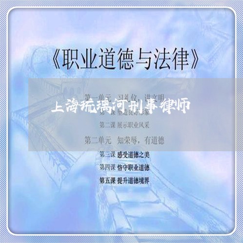 上海琉璃河刑事律师/2023032670525