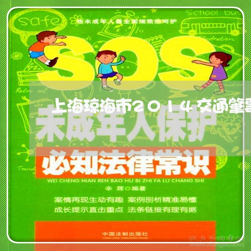 上海琼海市2014交通肇事/2023032504927