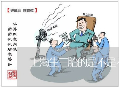 上海生三胎的是不是不会离婚/2023032527360