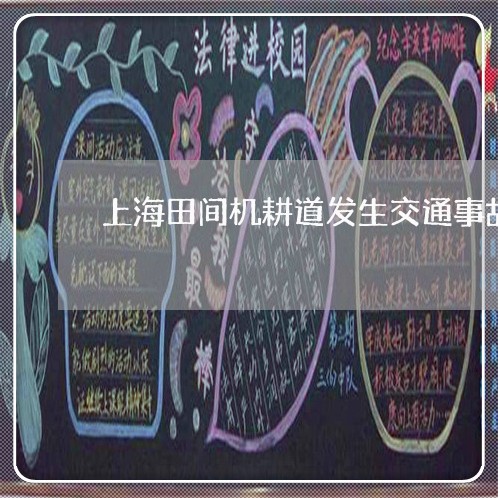 上海田间机耕道发生交通事故/2023032595036 上海田间机耕道发生交通事故/2023032595036