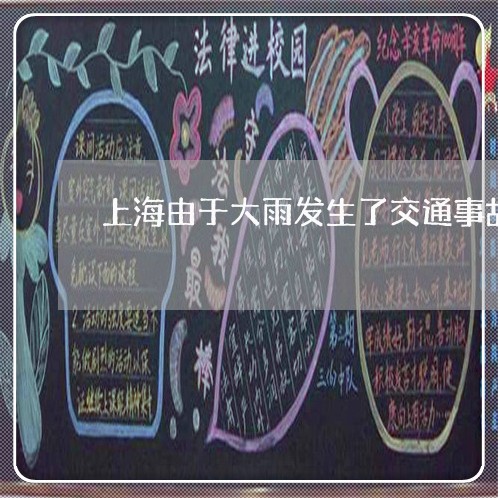 上海由于大雨发生了交通事故/2023032504836