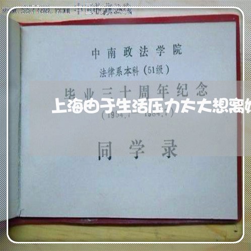 上海由于生活压力太大想离婚/2023032548158