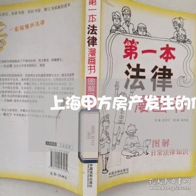 上海甲方房产发生的债权债务/2023032458394 上海甲方房产发生的债权债务/2023032458394