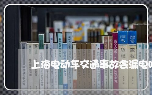 上海电动车交通事故会漏电吗/2023032445948