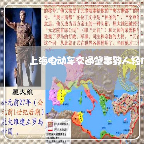 上海电动车交通肇事致人轻伤/2023032421594 上海电动车交通肇事致人轻伤/2023032421594