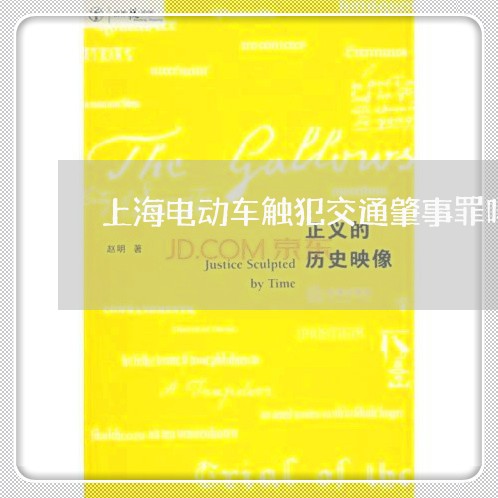 上海电动车触犯交通肇事罪吗/2023032484706