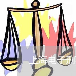 上海电子刑事案律师共同合作/2023032464815