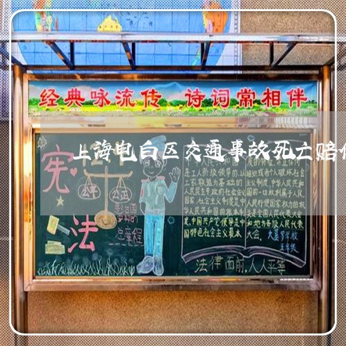 上海电白区交通事故死亡赔偿/2023032416839
