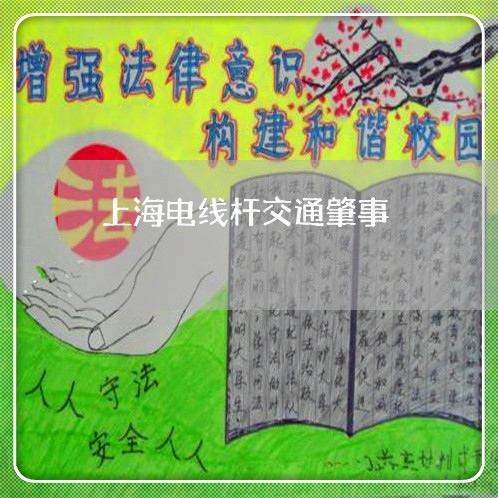 上海电线杆交通肇事/2023030252593
