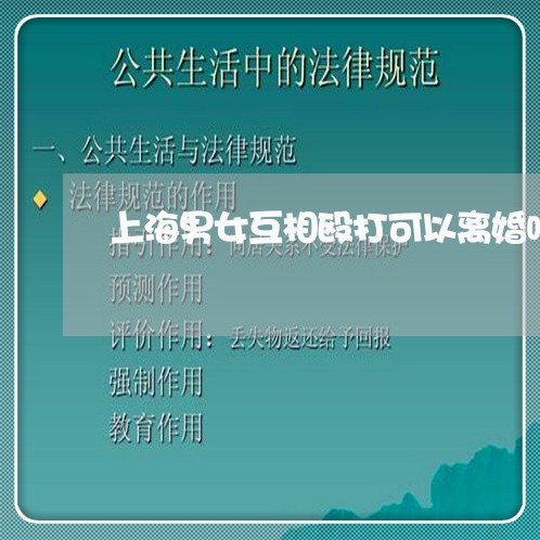 上海男女互相殴打可以离婚吗/2023032404137
