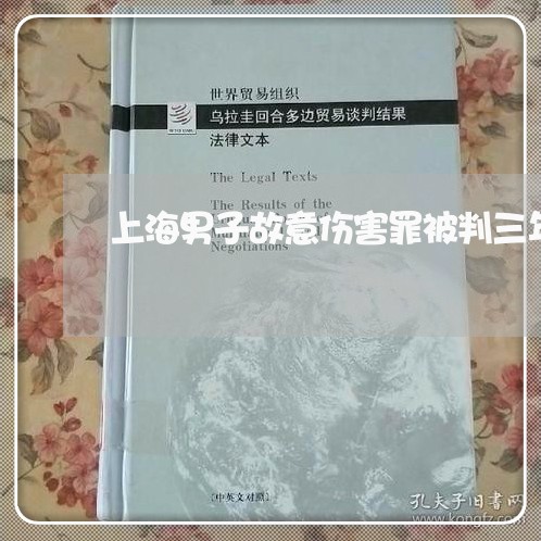 上海男子故意伤害罪被判三年/2023032427271