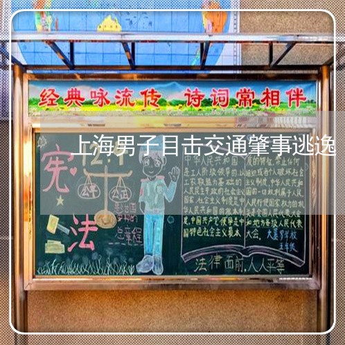 上海男子目击交通肇事逃逸/2023032202725 上海男子目击交通肇事逃逸/2023032202725