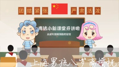 上海男孩八岁离婚抚养权归谁/2023032429161