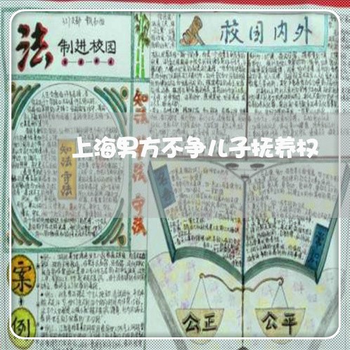 上海男方不争儿子抚养权/2023032303738