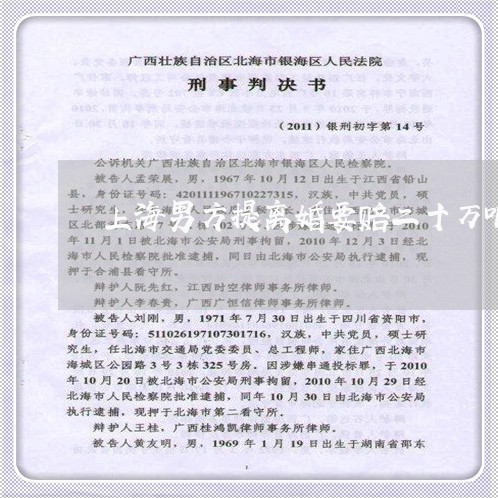 上海男方提离婚要赔二十万吧/2023032415046