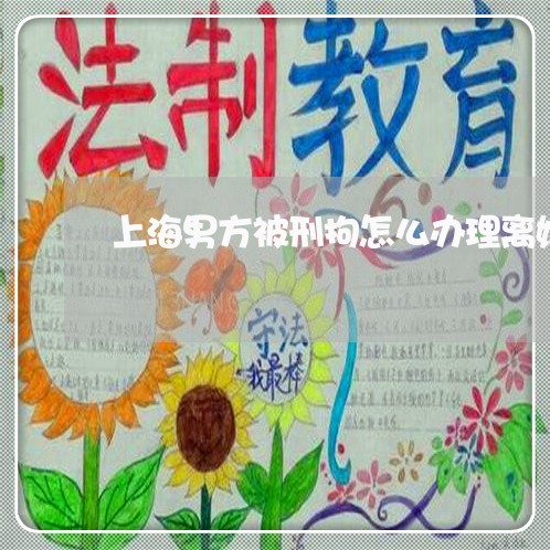 上海男方被刑拘怎么办理离婚/2023032512615