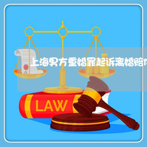 上海男方重婚罪起诉离婚赔偿/2023032449581 上海男方重婚罪起诉离婚赔偿/2023032449581