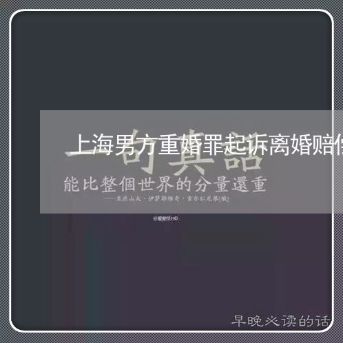上海男方重婚罪起诉离婚赔偿/2023032485835 上海男方重婚罪起诉离婚赔偿/2023032485835