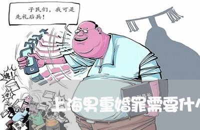 上海男重婚罪需要什么证据/2023032209392
