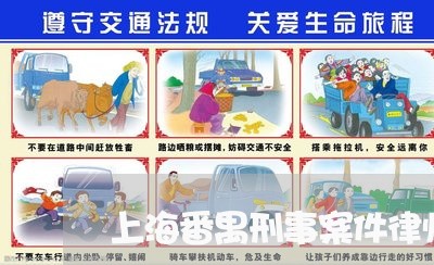 上海番禺刑事案件律师推荐/2023032214269