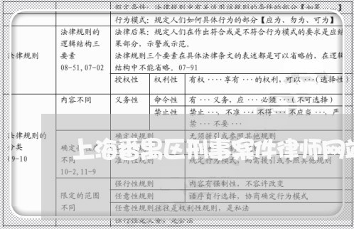 上海番禺区刑事案件律师网站/2023032495525