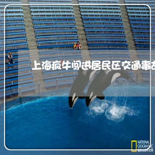 上海疯牛闯进居民区交通事故/2023032438170 上海疯牛闯进居民区交通事故/2023032438170