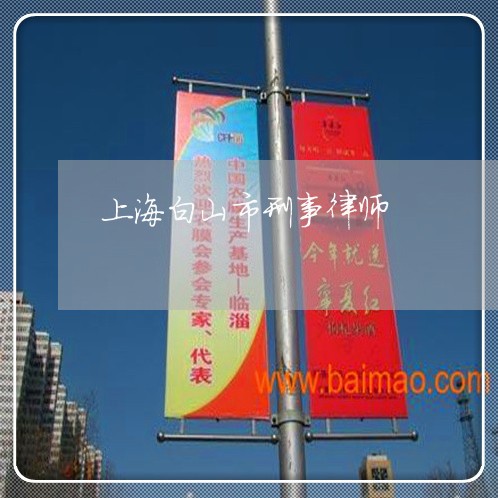 上海白山市刑事律师/2023032606139