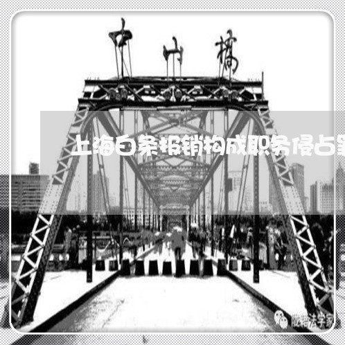 上海白条报销构成职务侵占罪/2023032527160 上海白条报销构成职务侵占罪/2023032527160