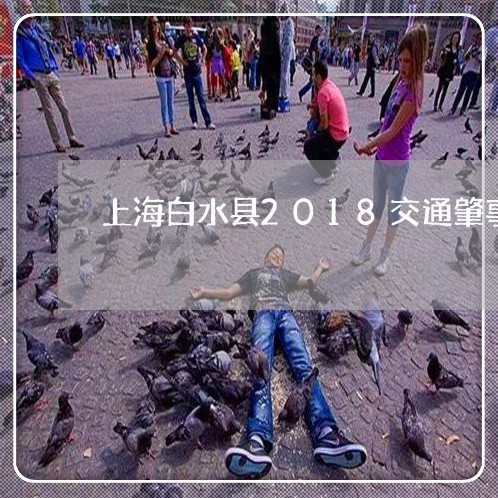 上海白水县2018交通肇事/2023032544617