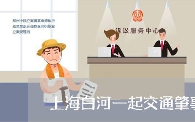 上海白河一起交通肇事案结果/2023032552845
