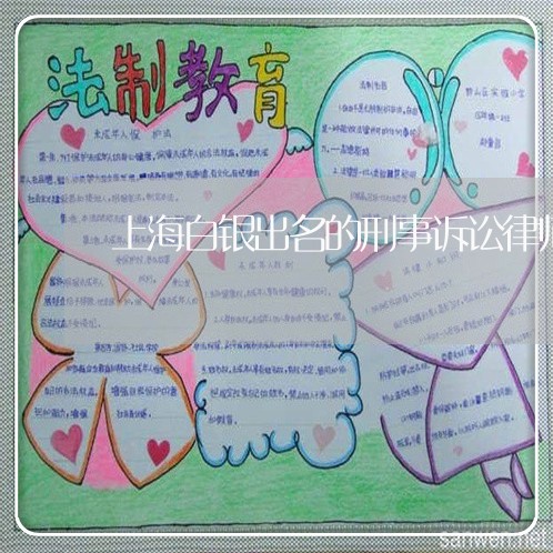 上海白银出名的刑事诉讼律师/2023032438171 上海白银出名的刑事诉讼律师/2023032438171