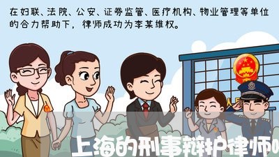 上海的刑事辩护律师哪里专业/2023032414938 上海的刑事辩护律师哪里专业/2023032414938