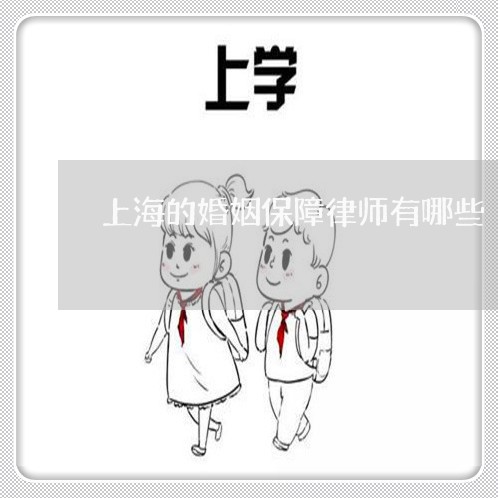 上海的婚姻保障律师有哪些/2023060985047