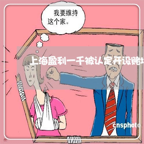 上海盈利一千被认定开设赌场/2023032428161