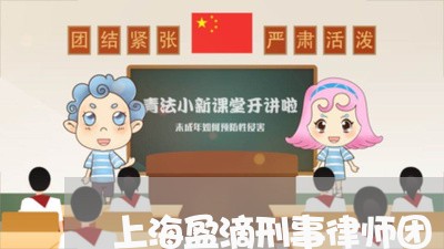 上海盈滴刑事律师团/2023032674713