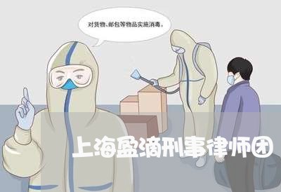 上海盈滴刑事律师团/2023032695918